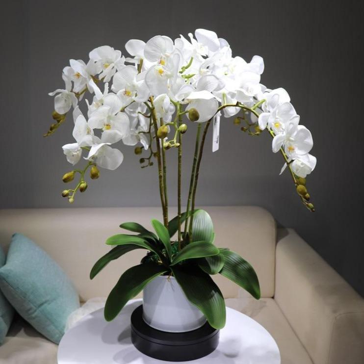 Fleur orchidée artificielle blanche