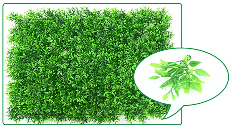 Mur vegetal plante verte - 40x60cm