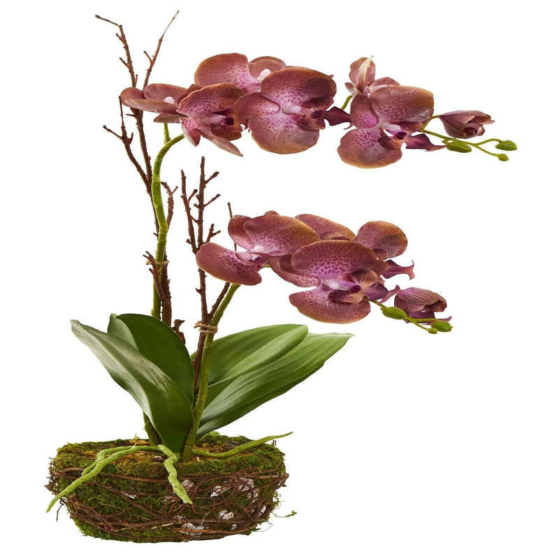 Arrangement artificiel d'orchidées Phalaenopsis chocolat