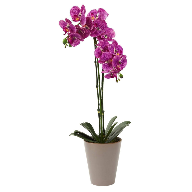 Arrangement artificiel d'orchidées Phalaenopsis mouchetées