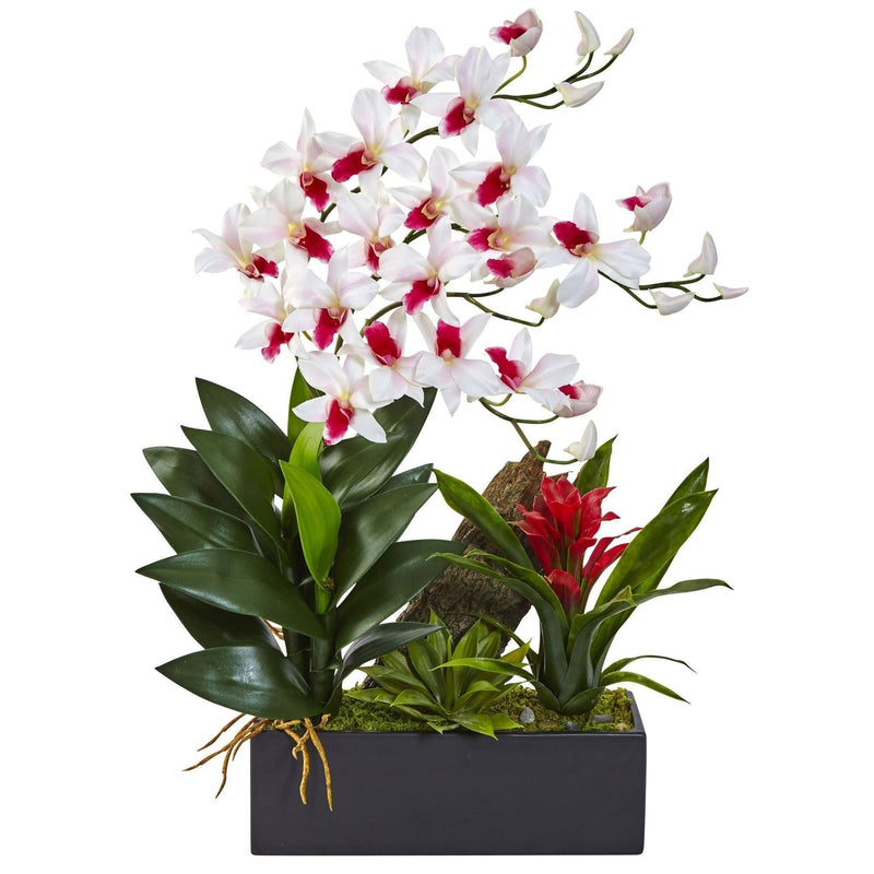 Dendrobium and Bromeliad Arrangement