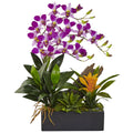 Dendrobium and Bromeliad Arrangement