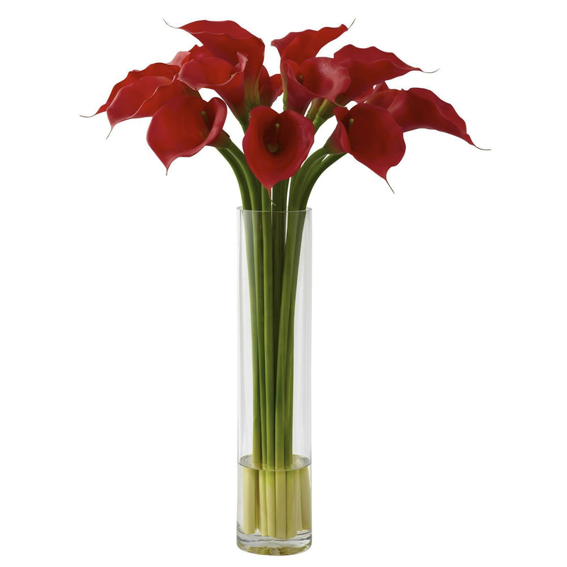 Lys Calla rouge avec grand vase cylindrique
