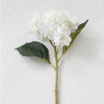 Fleur hortensia blanc