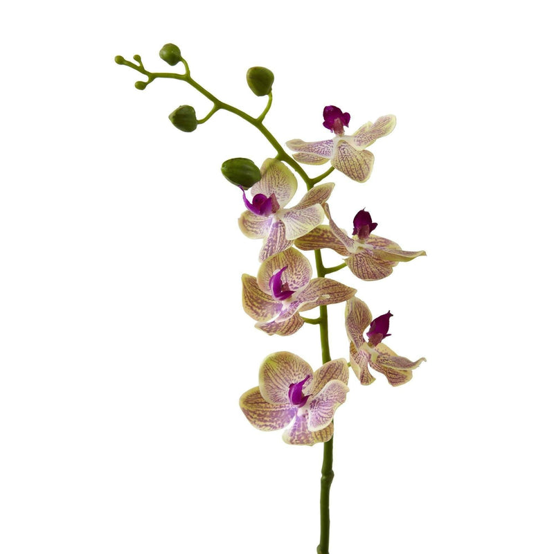 Longue Fleur artificielle Orchidée Phalaenopsis