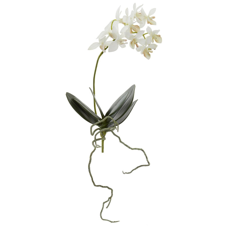Mini Orchidée Phalaenopsis Fleur artificielle