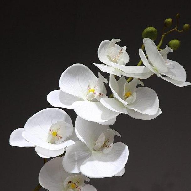 Orchidée artificielle blanche