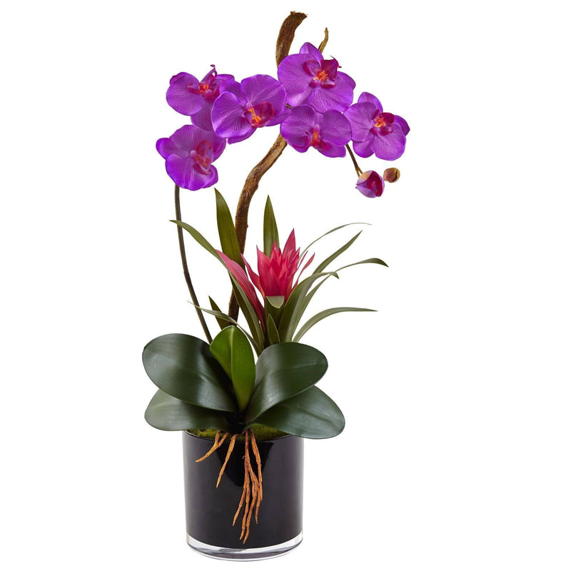 Orchid and Bromeliad in Glossy Black Cylinder