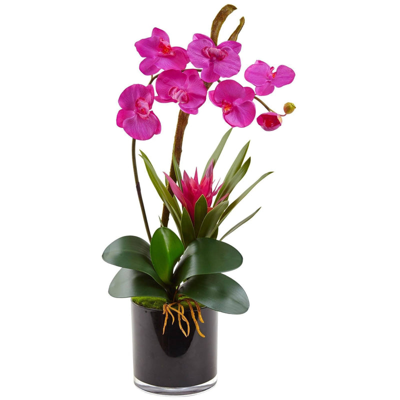 Orchid and Bromeliad in Glossy Black Cylinder