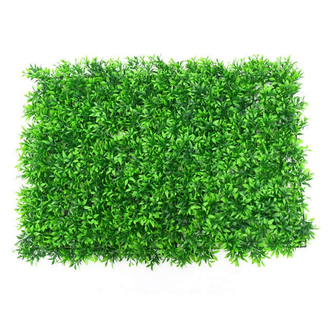 Mur vegetal plante verte - 40x60cm
